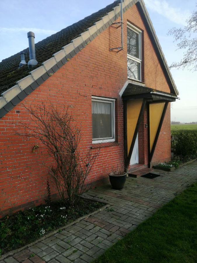 Kleine Scholle * Neuharlingersiel
