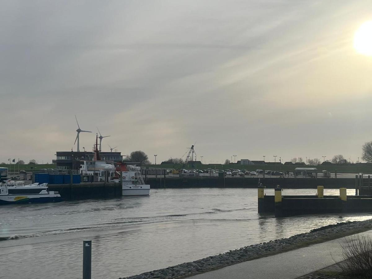 Kleine Scholle Neuharlingersiel